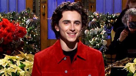 timothée chalamet tv shows.